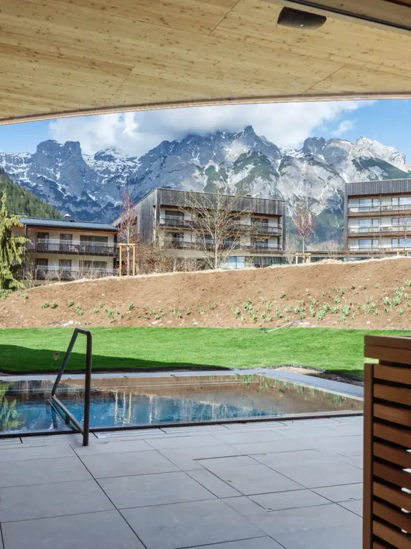 Ein Pool mit Blick auf Berge und Bäume.